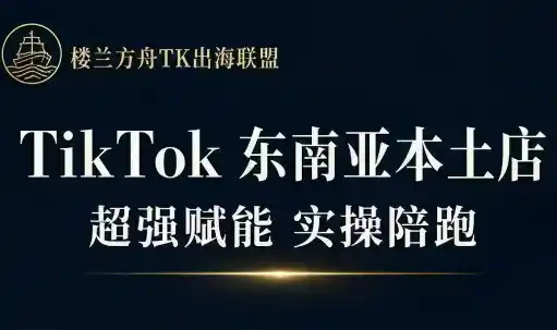 三叔·TikTok东南亚本土店实操(更新8月)-聚力云网创