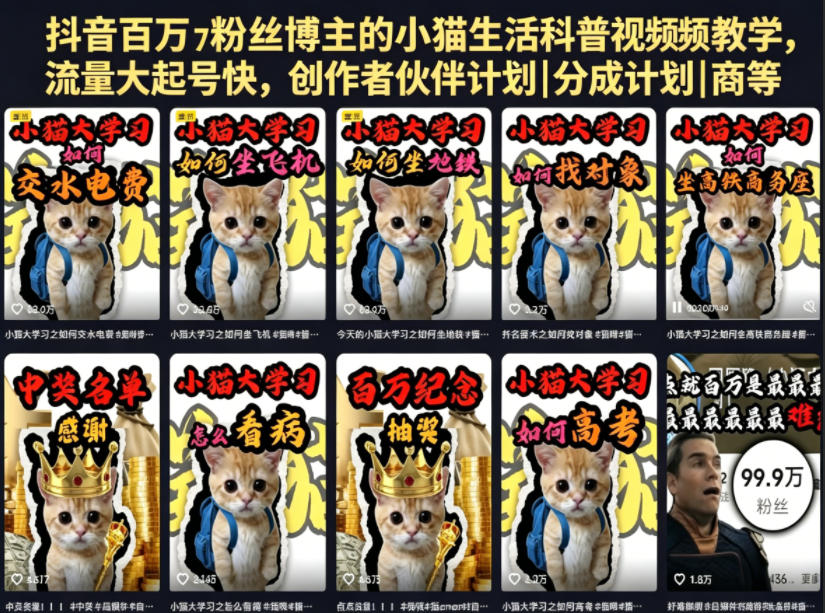 抖音百万粉丝博主的小猫生活科普视频教学,流量大起号快,创作者伙伴计划|分成计划|商单|收徒等-聚力云网创