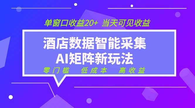 2026酒店数据采集ai智能矩阵新风口 低成本 高收益 当天见收益 单窗口20+-聚力云网创
