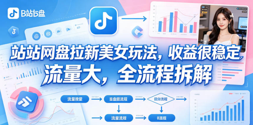 B站网盘拉新美女玩法，收益很稳定，流量大，全流程拆解-聚力云网创