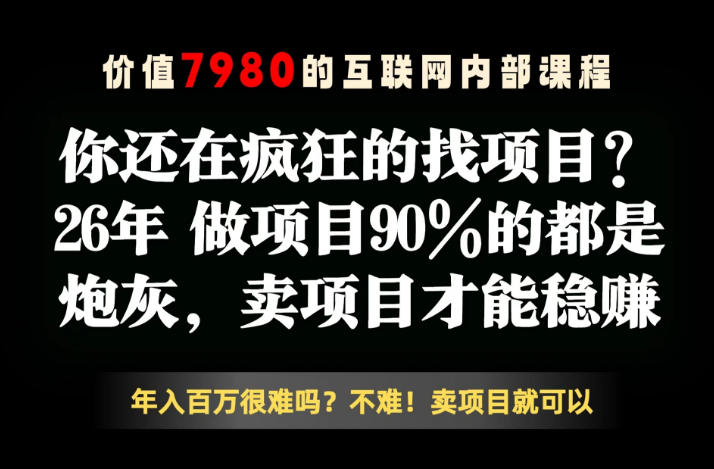 26年请不要疯狂的找项目了,卖项目远比你想象的暴利,你也可以月入10W+【揭秘】-聚力云网创