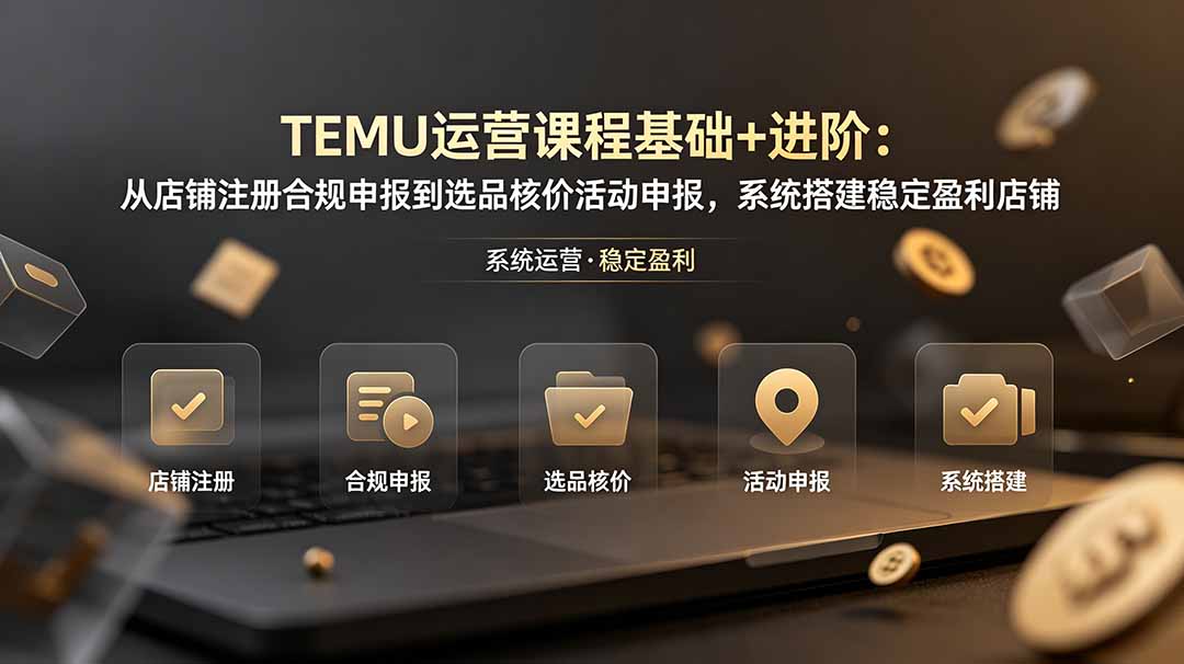 TEMU运营课程(基础+进阶-聚力云网创