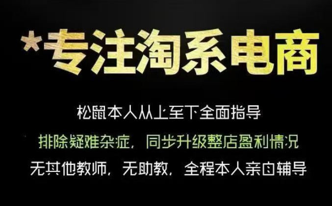 松鼠会电商VIP课程，从基础布局到高阶优化，助你掌握淘宝运营逻辑，提升店铺流量与转化-聚力云网创