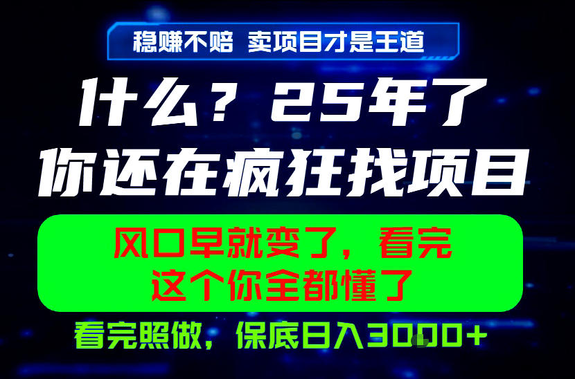 26年，请不要疯狂的找项目做了！卖项目才是真的稳賺不赔，看完照做，保底日入1k+【揭秘】-聚力云网创