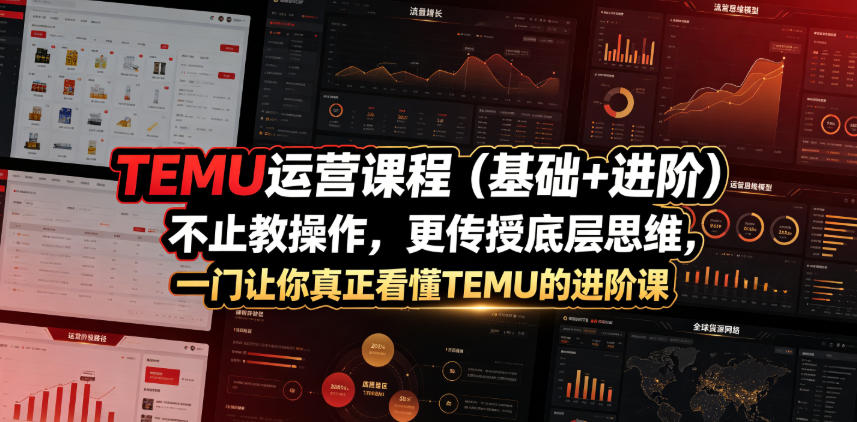 TEMU运营课程(基础+进阶)，不止教操作，更传授底层思维，一门让你真正看懂TEMU的进阶课-聚力云网创