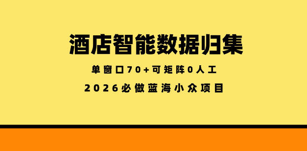 酒店智能数据归集,小众蓝海已经稳定半年之久,单窗口70+零成本矩阵开干【揭秘】-聚力云网创