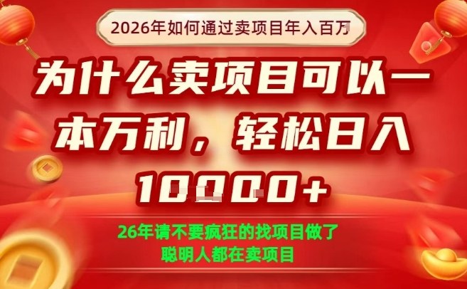 一单净利润1K+,26年想年入100个W,死磕卖项目就够了【揭秘】-聚力云网创