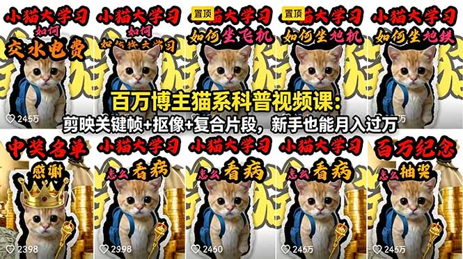 百万博主猫系科普视频课：剪映关键帧+抠像+复合片段，新手也能月入过万-聚力云网创