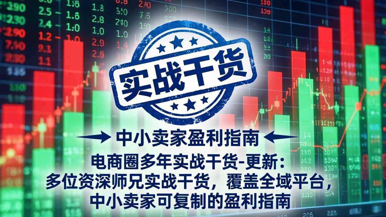 电商圈多年实战干货-更新4月:多位资深师兄实战干货,覆盖全域平台,中小卖家可复制的盈利指南-聚力云网创