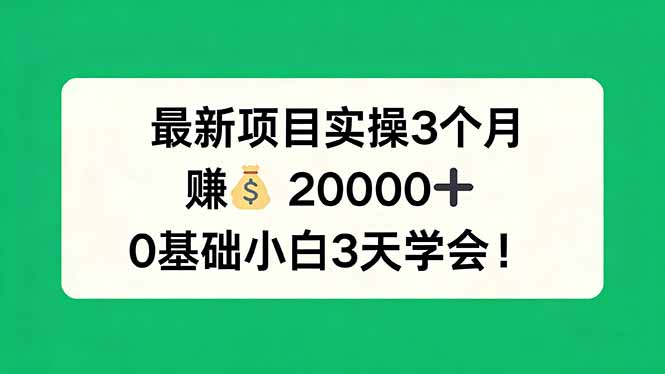 最新项目实操3个月，赚钱20000+，0基础小白3天学会！-聚力云网创