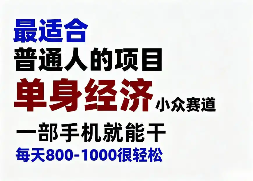 身经济小众赛道，一部手机就能干，每天搞个800-1000很轻松，最适合普通人的项目【揭秘】-聚力云网创