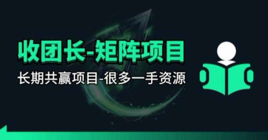 【团长合作】视频矩阵项目_招发手矩阵+剪辑师，共赢项目【揭秘】-聚力云网创